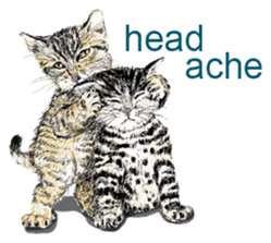 Just cats! sticker #835821