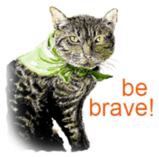 Just cats! sticker #835823