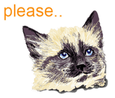 Just cats! sticker #835824