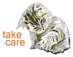 Just cats! sticker #835825