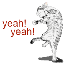 Just cats! sticker #835827