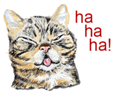 Just cats! sticker #835828