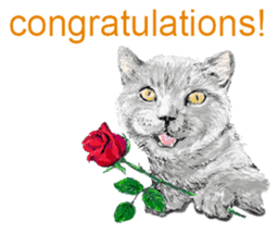 Just cats! sticker #835829