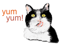 Just cats! sticker #835831