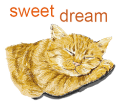 Just cats! sticker #835833