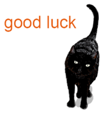 Just cats! sticker #835835