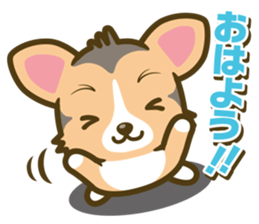 welsh corgi/tricolor sticker #836719