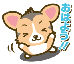 welsh corgi/tricolor sticker #836719