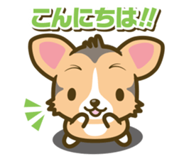 welsh corgi/tricolor sticker #836720