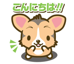 welsh corgi/tricolor sticker #836720