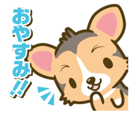 welsh corgi/tricolor sticker #836721