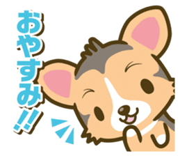 welsh corgi/tricolor sticker #836721