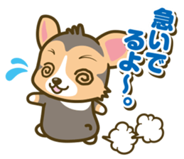 welsh corgi/tricolor sticker #836722