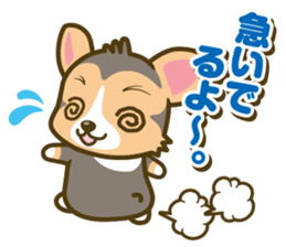 welsh corgi/tricolor sticker #836722