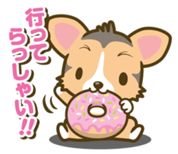 welsh corgi/tricolor sticker #836724