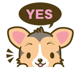 welsh corgi/tricolor sticker #836726