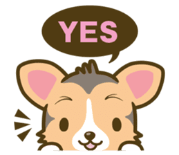 welsh corgi/tricolor sticker #836726