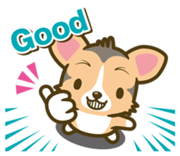 welsh corgi/tricolor sticker #836728