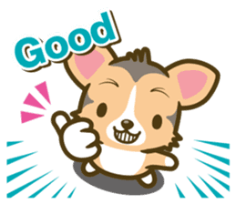 welsh corgi/tricolor sticker #836728