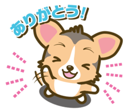 welsh corgi/tricolor sticker #836729