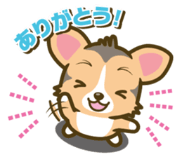 welsh corgi/tricolor sticker #836729