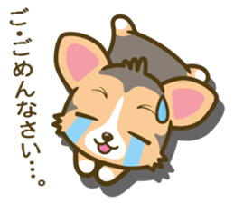 welsh corgi/tricolor sticker #836730