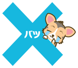 welsh corgi/tricolor sticker #836732