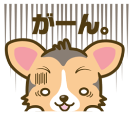 welsh corgi/tricolor sticker #836733