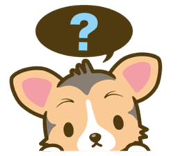 welsh corgi/tricolor sticker #836735