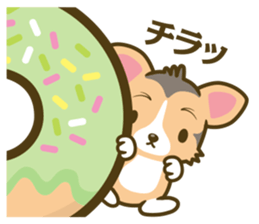 welsh corgi/tricolor sticker #836737