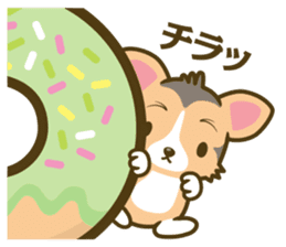 welsh corgi/tricolor sticker #836737