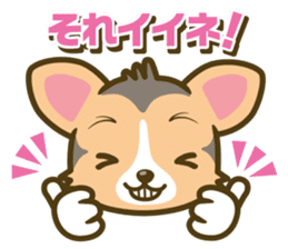 welsh corgi/tricolor sticker #836741
