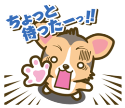 welsh corgi/tricolor sticker #836742