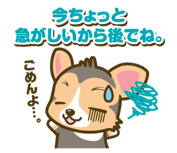 welsh corgi/tricolor sticker #836743