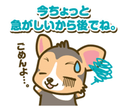 welsh corgi/tricolor sticker #836743