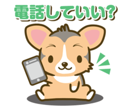 welsh corgi/tricolor sticker #836744