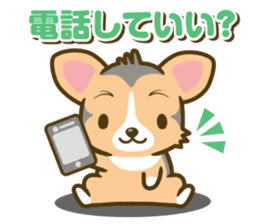 welsh corgi/tricolor sticker #836744