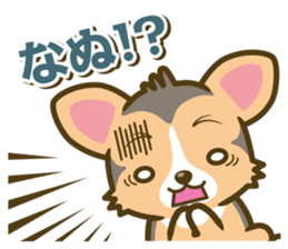 welsh corgi/tricolor sticker #836745