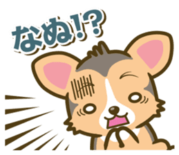 welsh corgi/tricolor sticker #836745