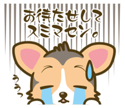 welsh corgi/tricolor sticker #836747