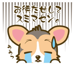 welsh corgi/tricolor sticker #836747