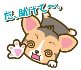 welsh corgi/tricolor sticker #836748
