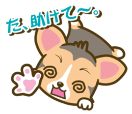 welsh corgi/tricolor sticker #836748