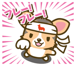 welsh corgi/tricolor sticker #836749