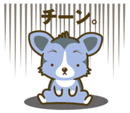 welsh corgi/tricolor sticker #836750