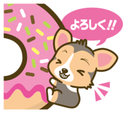 welsh corgi/tricolor sticker #836751