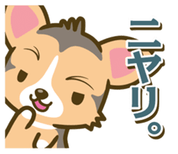 welsh corgi/tricolor sticker #836752