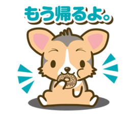 welsh corgi/tricolor sticker #836753