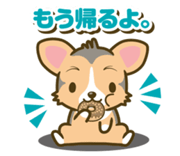 welsh corgi/tricolor sticker #836753