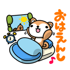 Dialect of Akita and Akita dog Roy 2 sticker #837919